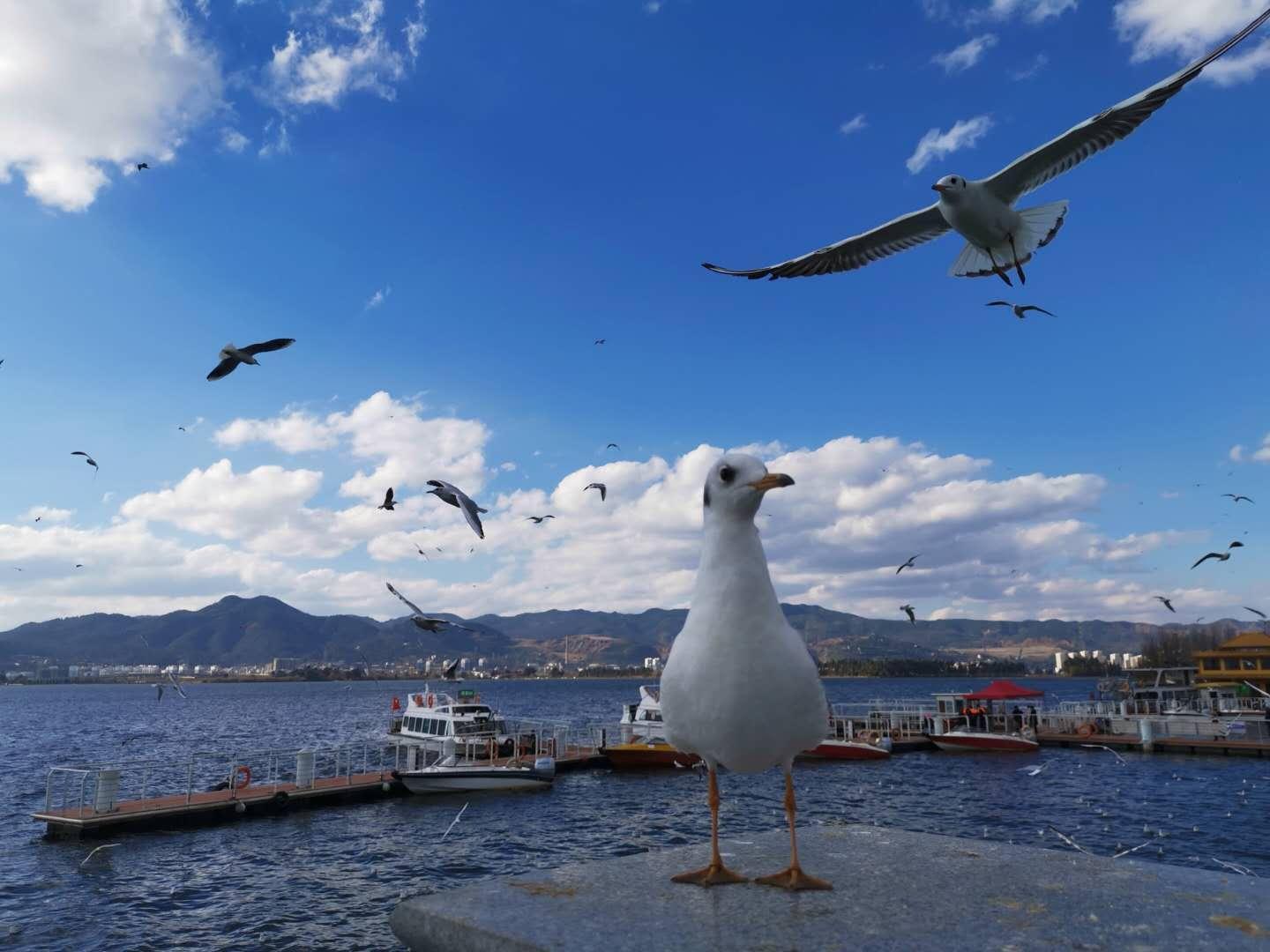  2026年城市竞争格局：万亿GDP门槛背后的区域发展新机遇 新闻