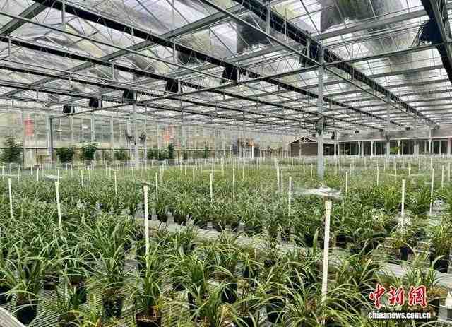  乡村振兴要靠有闯劲的年轻人 人代表示范村经验值得借鉴 新闻 乡村振兴要靠有闯劲的年轻人 人代表示范村经验值得借鉴 新闻