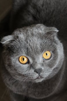 热点关注：人工智能数字空间秩序的法律构建 新闻