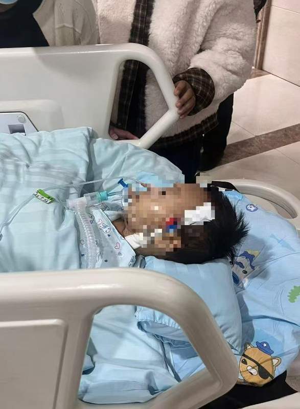 1岁8个月男童春节探亲鼠药中毒致昏迷 爸爸：他最爱喊爸爸妈妈，还没好好看看这个世界 新闻