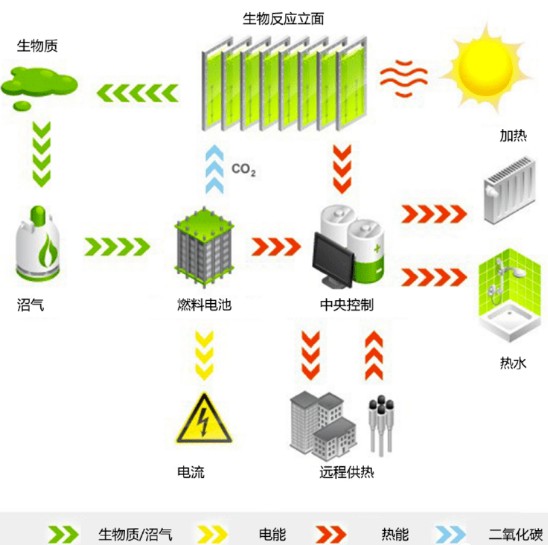  新知 绿色藻类建筑板：能发电，还可吸收二氧化碳 新闻