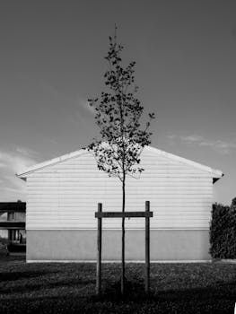  监管堡垒出现裂痕；马斯特银行破产案暴露利益输送隐患；巴西金融体系面临深刻反思。 企业服务