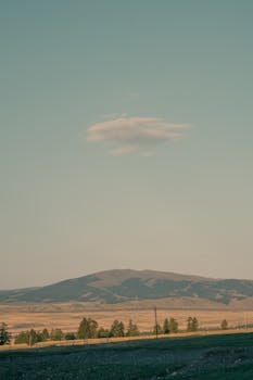 爱车短时多修令人忧；维权之路该如何走；多渠道并用更有效