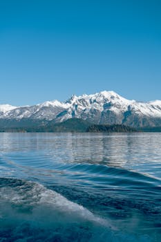  从理念到实践，健康教育迈出坚实步伐；孩子们奔跑在操场，笑脸绽放于课堂；未来育人之路更加光明。 教育招生