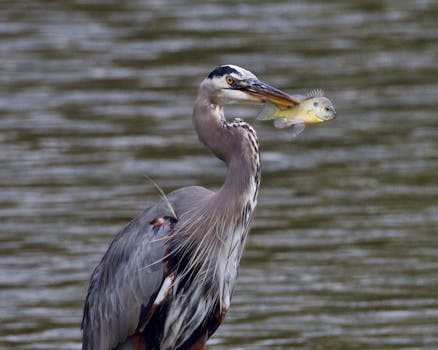 人工智能时代，中国如何占据先机；优势凸显，治理并重。