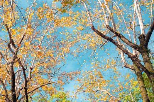  非洲创意经济崛起势头强劲，音乐游戏等领域引国际资本关注。 文化旅游