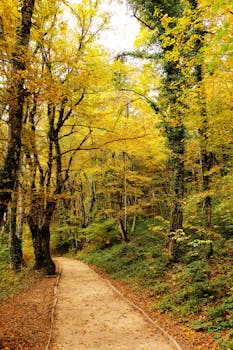  SBM Offshore获埃克森美孚圭亚那Longtail项目前端工程设计合同；Fast4Ward方案再获应用。 新闻