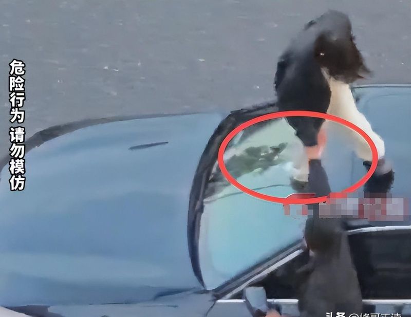  拒绝单纯的“路怒”叙事：当街斗殴并非偶然，而是被忽视的家庭悲剧 情感心理