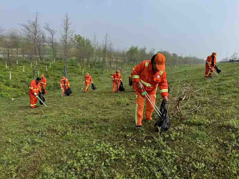  从脏乱差到水清岸绿：东西湖市民亲历水岸整治全记录 新闻