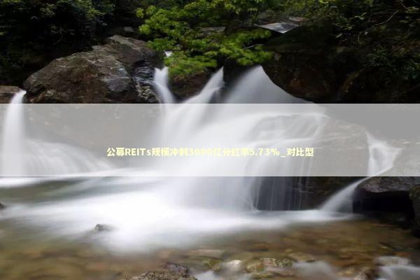 公募REITs规模冲刺3000亿分红率5.73%_对比型 新闻
