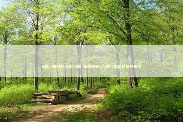 A股迎来利好消息六部门集体发声-六部门光伏利好抒情型 新闻