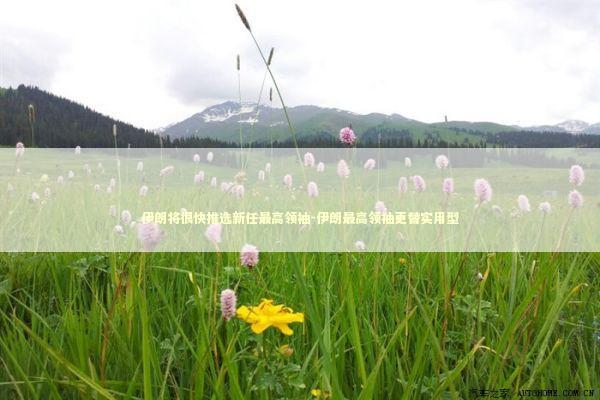 伊朗将很快推选新任最高领袖-伊朗最高领袖更替实用型 新闻