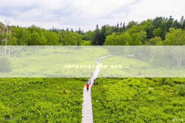 中德汽车合作进入蜜月期_悬念型 新闻