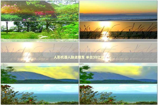 人形机器人融资爆发 单日38亿元 新闻