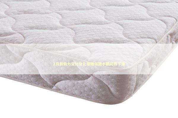 2月新势力交付分化零跑领跑小鹏问界下滑 新闻