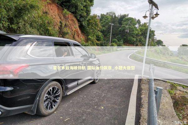 霍尔木兹海峡停航 国际油价飙涨_小题大做型 新闻