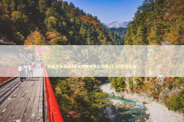 蔚来汽车召回24.6万辆车子公司获22.57亿元投资 新闻