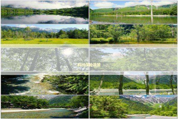 科技保险政策 新闻