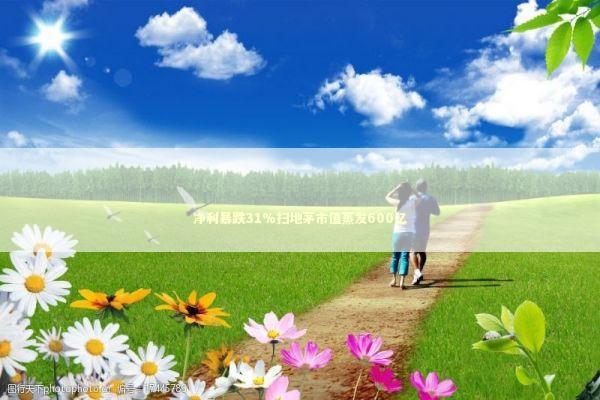 净利暴跌31%扫地茅市值蒸发600亿 新闻