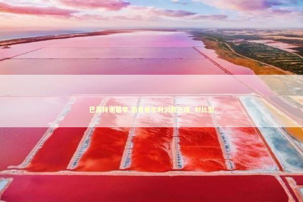 巴菲特谢幕季 伯克希尔利润跌三成_对比型 新闻