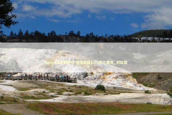 SpaceX冲刺IPO 估值或超1.75万亿美元_对比型 新闻