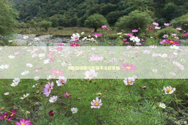 A股回调银行走强平淡叙事版 新闻