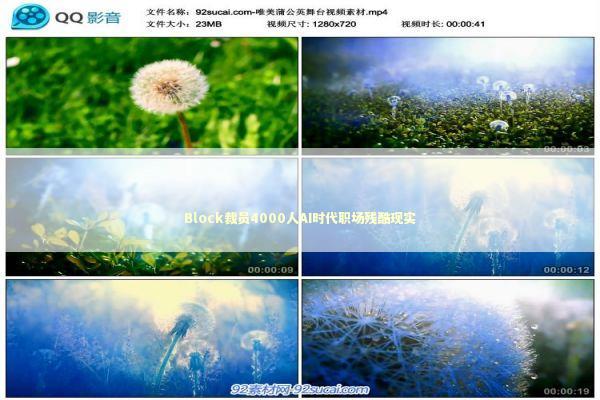 Block裁员4000人AI时代职场残酷现实 新闻