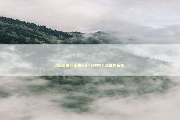 A股深度回调银行ETF逆市上涨机构乐观 新闻