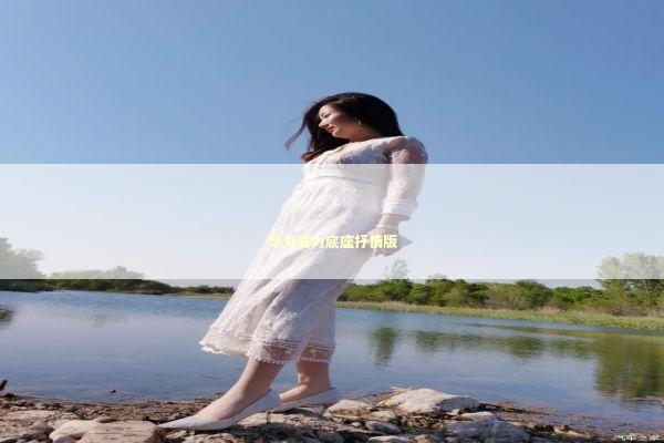 华为算力底座抒情版