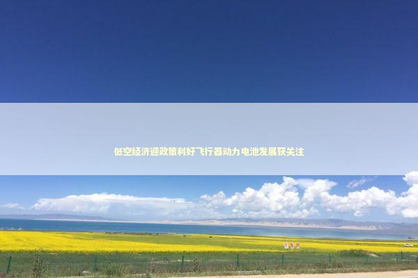 低空经济迎政策利好飞行器动力电池发展获关注 新闻