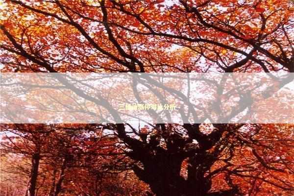 三桶油涨停对比分析 新闻