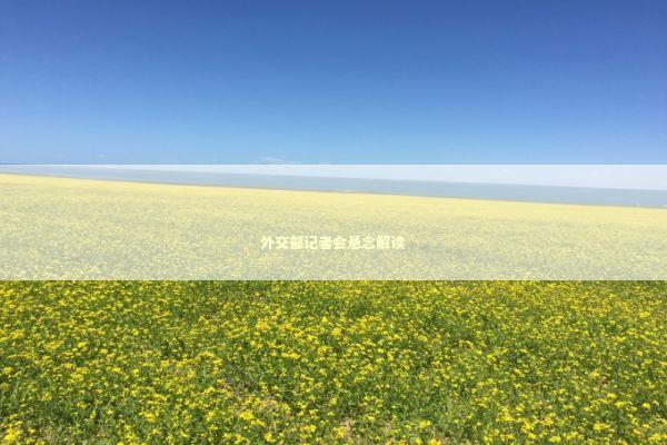 外交部记者会悬念解读 新闻