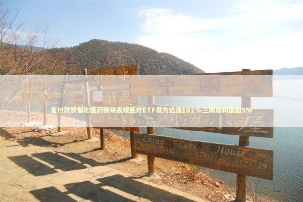 支付政策催化医药板块表现医疗ETF易方达涨102%三博脑科涨超5% 新闻
