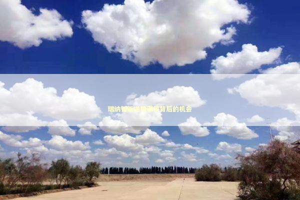 瑞纳智能逆势涨停背后的机会 新闻