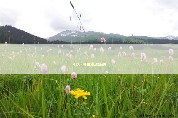 426-阿里重返热刺 新闻