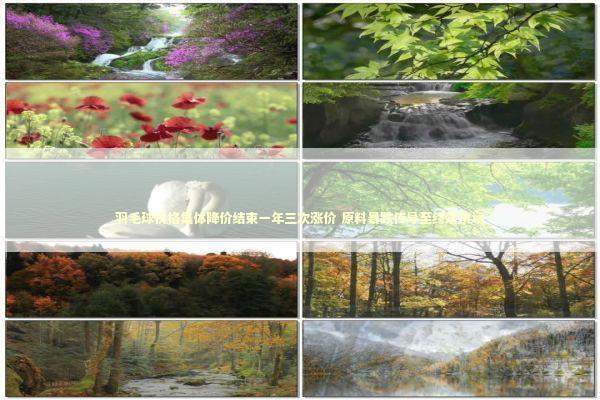 羽毛球价格集体降价结束一年三次涨价 原料暴跌传导至终端市场 新闻