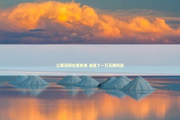 公募调研狂潮来袭 谁是下一只天顺风能 新闻