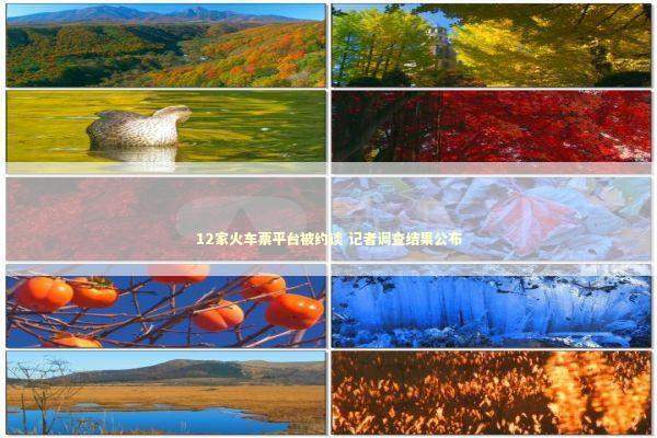 12家火车票平台被约谈 记者调查结果公布 新闻