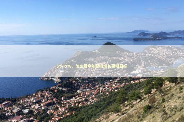 5%－5%，怎么看今年经济增长预期目标 新闻