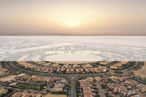 净利预亏叠加立案，双良节能股价迎考！ 新闻