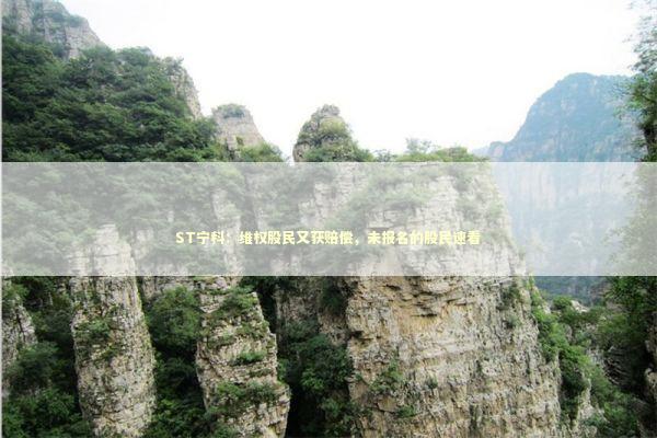 ST宁科：维权股民又获赔偿，未报名的股民速看 新闻