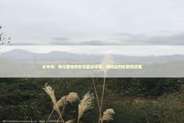 全市场：弗拉霍维奇即将重返球场，续约谈判也取得进展 新闻