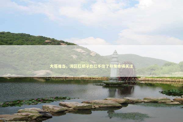 大哥难当，湾区扛把子也扛不住了引发市场关注 新闻