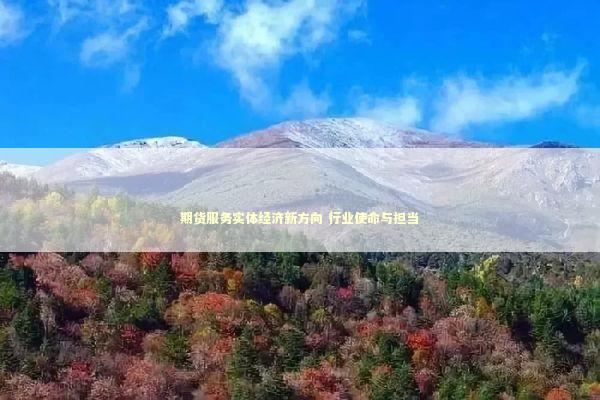 期货服务实体经济新方向 行业使命与担当 新闻