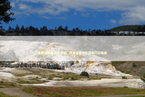 全国政协委员李书福：汽车企业不应简单打价格战 新闻