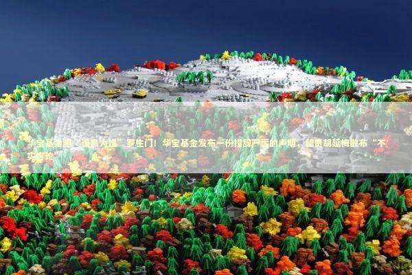 华宝基金陷“逼良为娼”罗生门！华宝基金发布一份措辞严厉的声明，谴责胡延梅散布“不实言论” 新闻