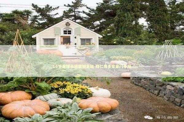 16岁足球小将震撼足坛 拜仁等多家豪门争抢 新闻