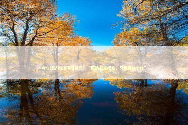 今年经济增速预期目标：“既跳起来摸高、又稳得住步伐” 新闻