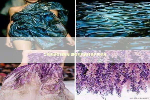 公募调研实战教程 跟着机构选股票的五步法 新闻