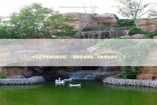 今年经济增速预期目标：“既跳起来摸高、又稳得住步伐”_1 新闻